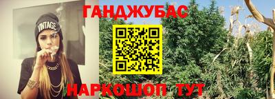 ешки Новокубанск