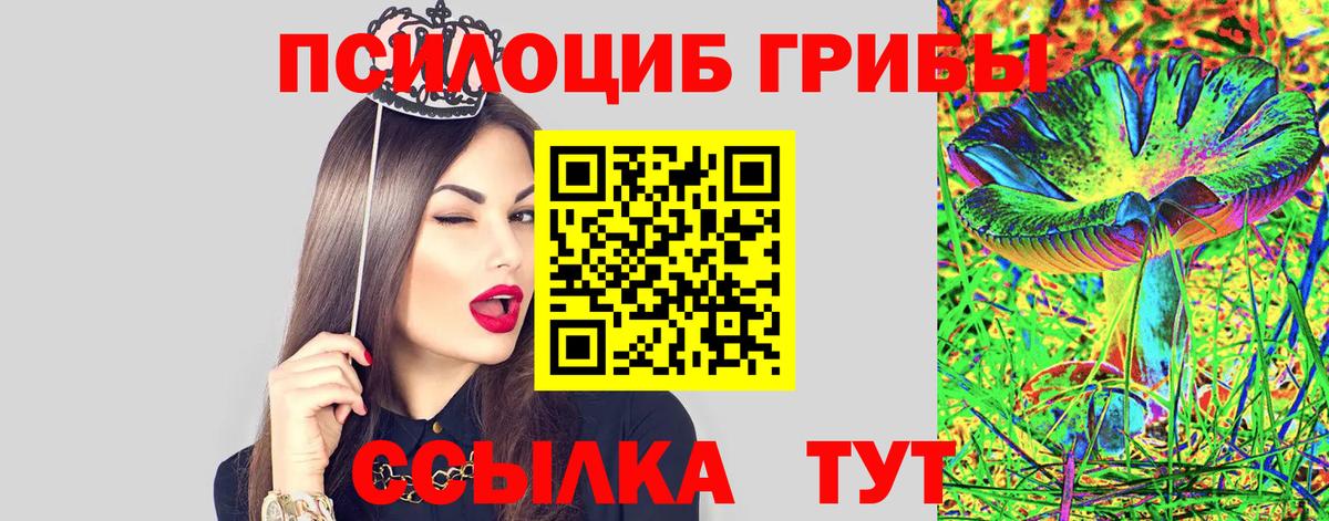 Галлюциногенные грибы MAGIC MUSHROOMS  Вход с VPN  Ставрополь 